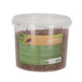 Vers de farine séchés seau 700g