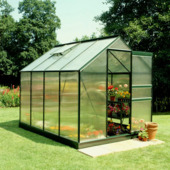 Serre de jardin Royal Well Popular 86 vert polycarbonate 4 mm