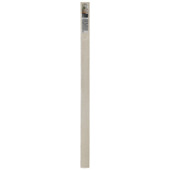 CanDo  Traprenovatie Trapprofiel ijs eiken 130x5,6 cm