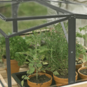 Royal Well serre klein Parsley Planter Small groengrijs 60 x 80 x 46 cm