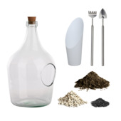 Kit complet terrarium végétal - bouteille en verre 3 litres