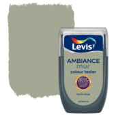 Levis Ambiance Soulful Sage muurverf kleurtester extra mat 30 ml - Kleur van het Jaar 2027