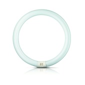 Philips TL buis T9 32W 2375 lumen 4100 kelvin koud wit 30cm